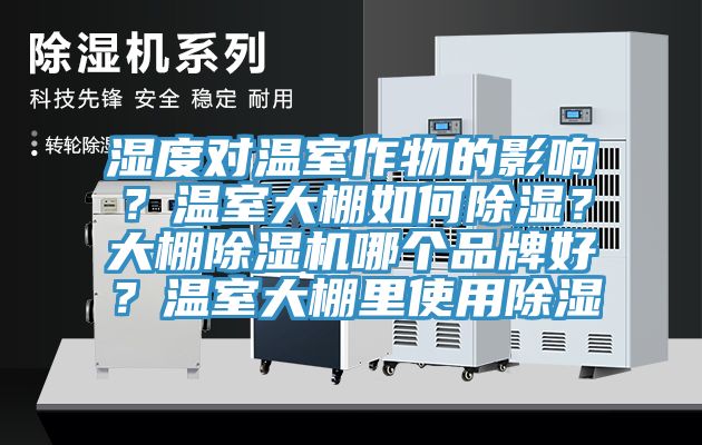 濕度對溫室作物的影響？溫室大棚如何除濕？大棚除濕機哪個品牌好？溫室大棚里使用除濕