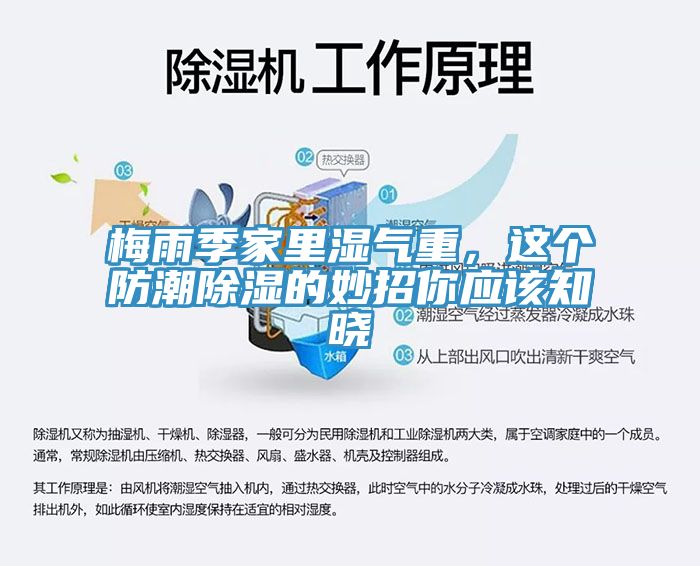 梅雨季家里濕氣重，這個(gè)防潮除濕的妙招你應(yīng)該知曉