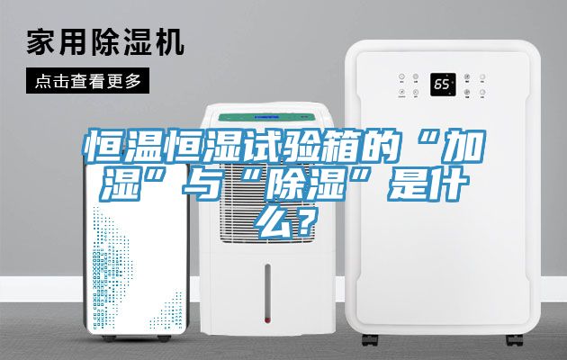 恒溫恒濕試驗箱的“加濕”與“除濕”是什么？