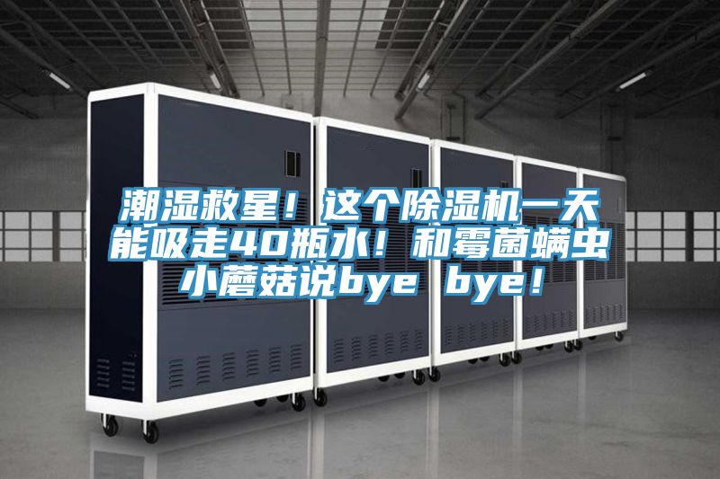 潮濕救星！這個除濕機一天能吸走40瓶水！和霉菌螨蟲小蘑菇說bye bye！