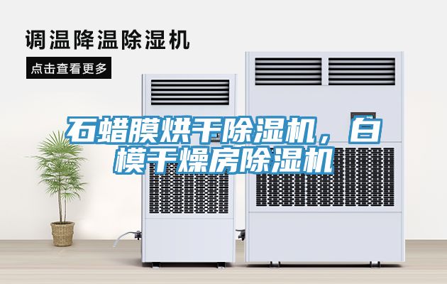 石蠟?zāi)ず娓沙凉駲C，白模干燥房除濕機