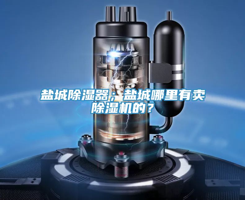 鹽城除濕器；鹽城哪里有賣除濕機(jī)的？