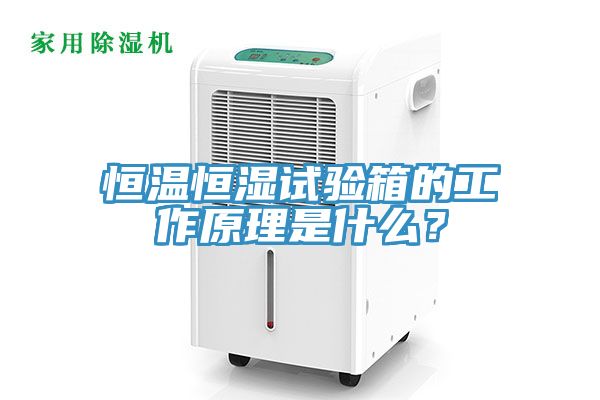 恒溫恒濕試驗(yàn)箱的工作原理是什么？