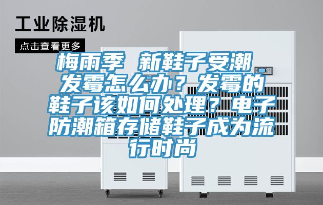 梅雨季 新鞋子受潮 發(fā)霉怎么辦？發(fā)霉的鞋子該如何處理？電子防潮箱存儲鞋子成為流行時尚