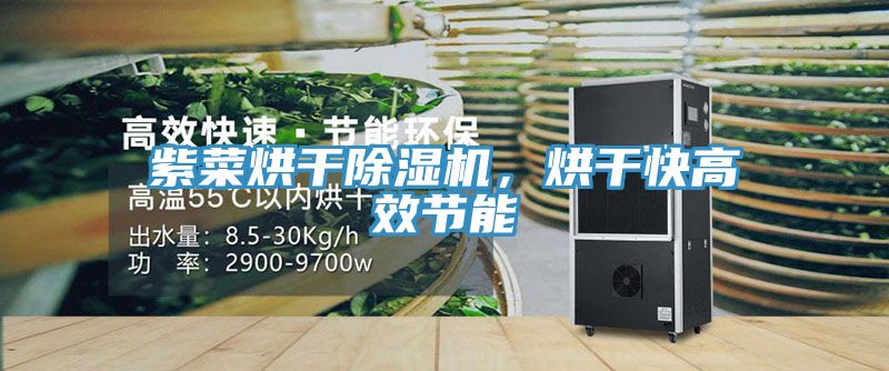 紫菜烘干除濕機(jī)，烘干快高效節(jié)能