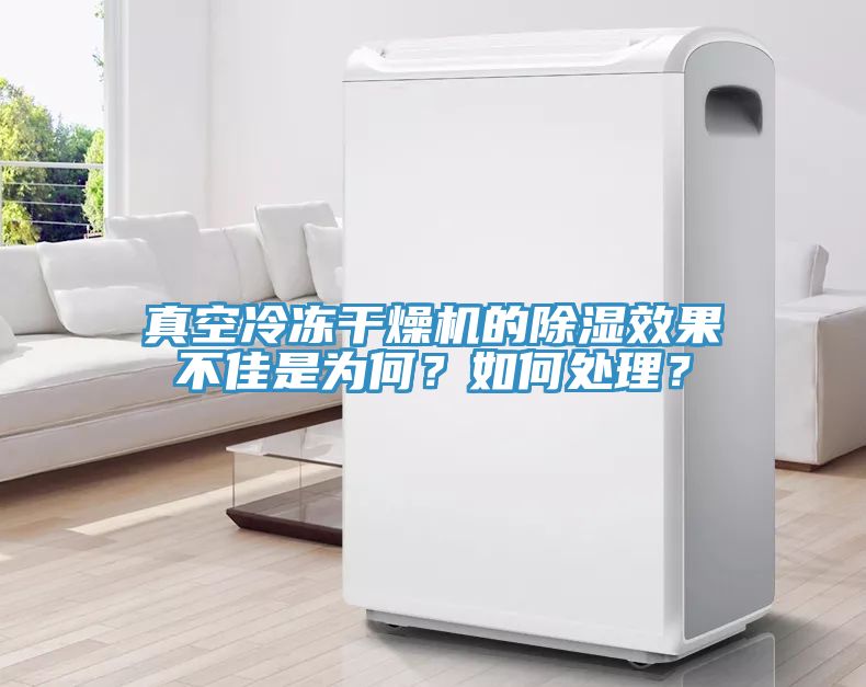 真空冷凍干燥機(jī)的除濕效果不佳是為何？如何處理？