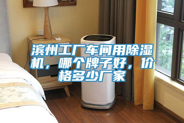 濱州工廠車間用除濕機(jī)，哪個(gè)牌子好，價(jià)格多少廠家