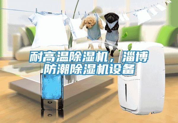 耐高溫除濕機，淄博防潮除濕機設備