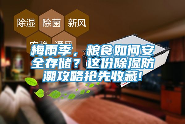 梅雨季，糧食如何安全存儲？這份除濕防潮攻略搶先收藏!