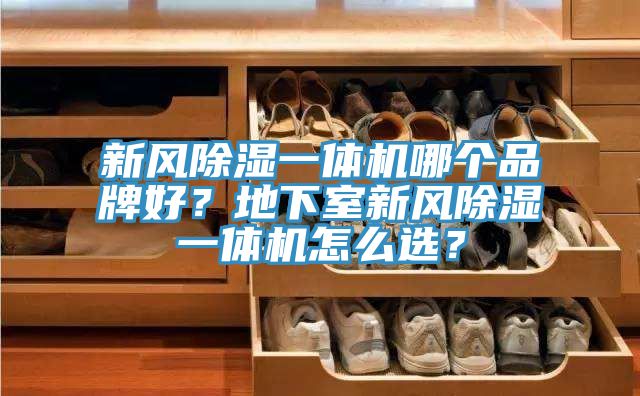 新風除濕一體機哪個品牌好？地下室新風除濕一體機怎么選？
