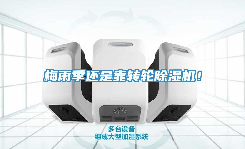 梅雨季還是靠轉(zhuǎn)輪除濕機(jī)！