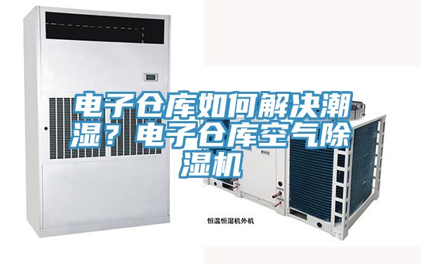 電子倉(cāng)庫(kù)如何解決潮濕？電子倉(cāng)庫(kù)空氣除濕機(jī)