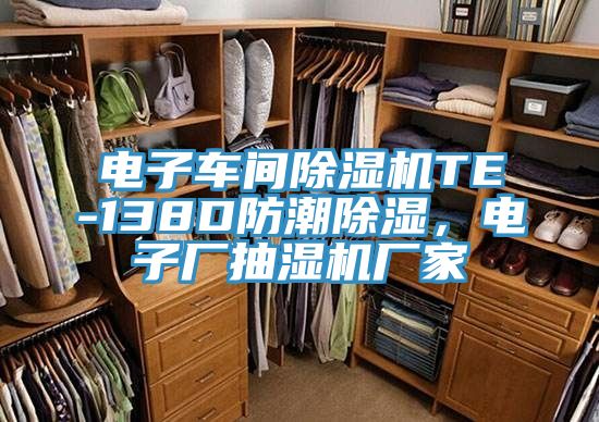 電子車(chē)間除濕機(jī)TE-138D防潮除濕，電子廠抽濕機(jī)廠家