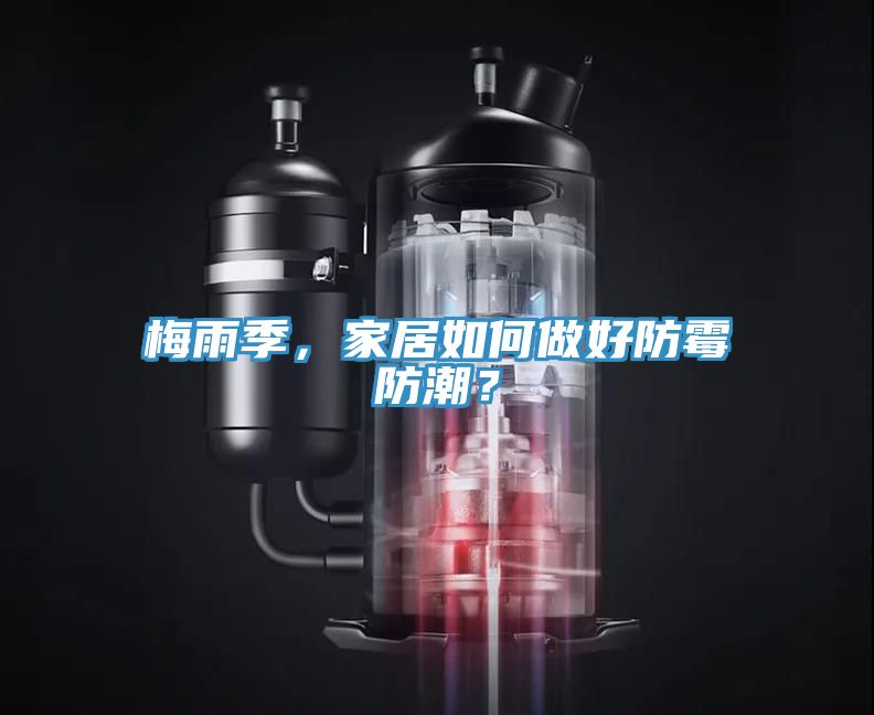 梅雨季，家居如何做好防霉防潮？