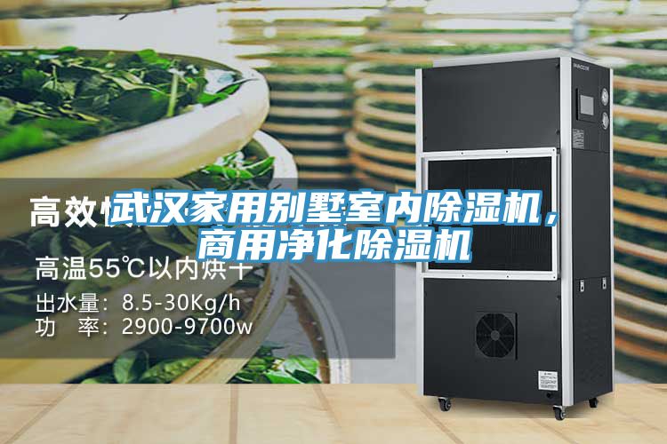武漢家用別墅室內(nèi)除濕機，商用凈化除濕機