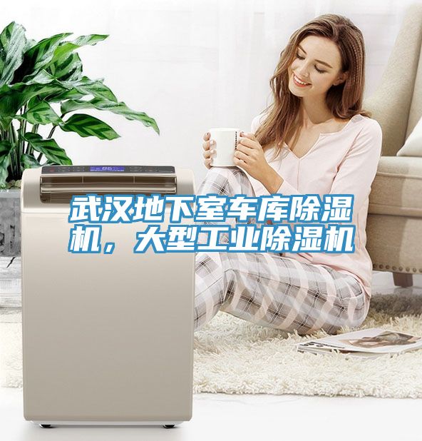 武漢地下室車庫除濕機，大型工業(yè)除濕機