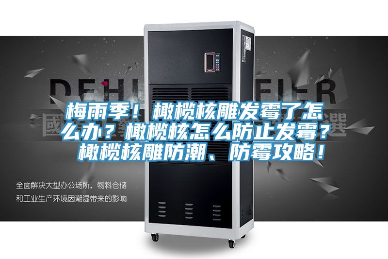 梅雨季！橄欖核雕發(fā)霉了怎么辦？橄欖核怎么防止發(fā)霉？ 橄欖核雕防潮、防霉攻略！
