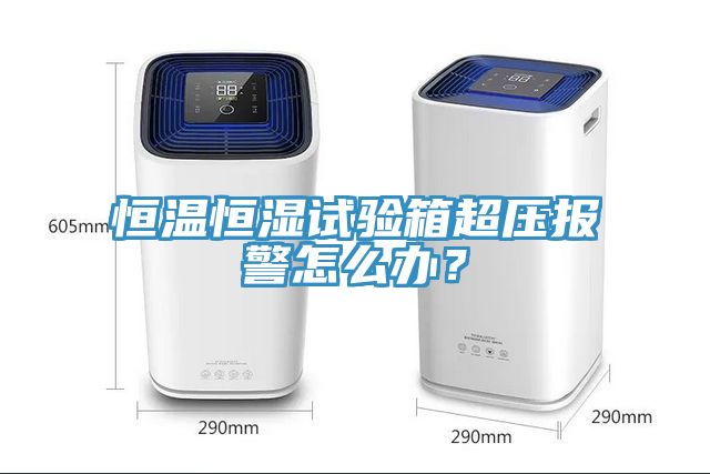 恒溫恒濕試驗箱超壓報警怎么辦？