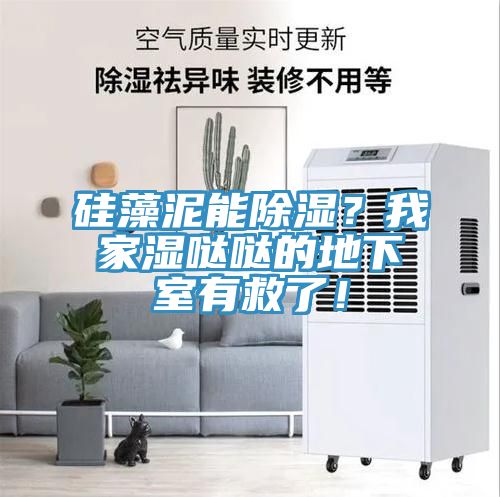 硅藻泥能除濕？我家濕噠噠的地下室有救了！