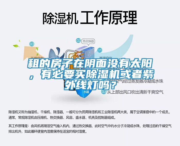 租的房子在陰面沒有太陽，有必要買除濕機或者紫外線燈嗎？