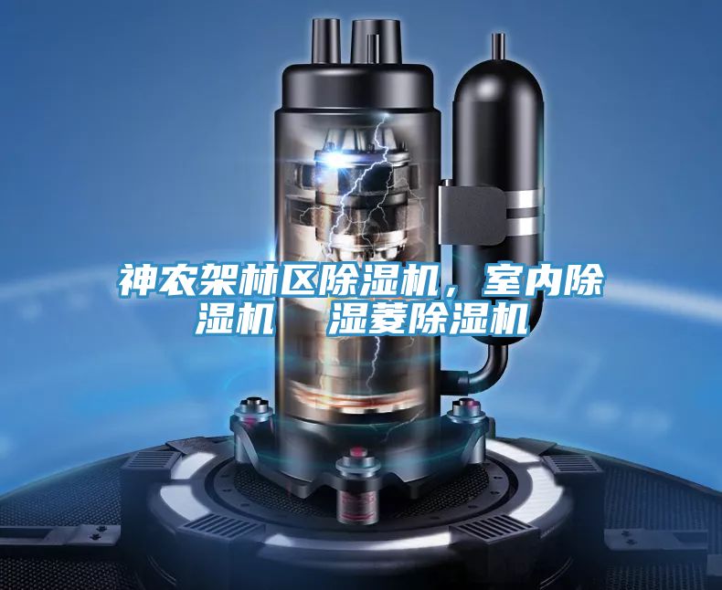 神農(nóng)架林區(qū)除濕機，室內(nèi)除濕機  濕菱除濕機