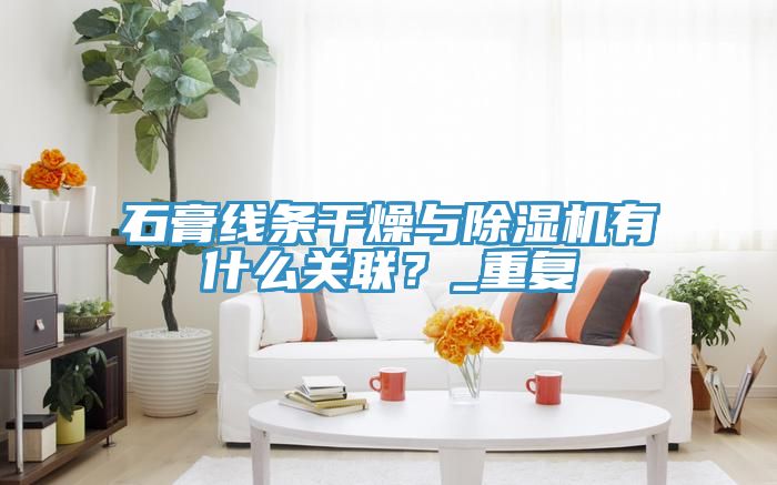 石膏線條干燥與除濕機有什么關(guān)聯(lián)？_重復(fù)