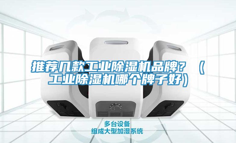 推薦幾款工業(yè)除濕機(jī)品牌？（工業(yè)除濕機(jī)哪個(gè)牌子好）