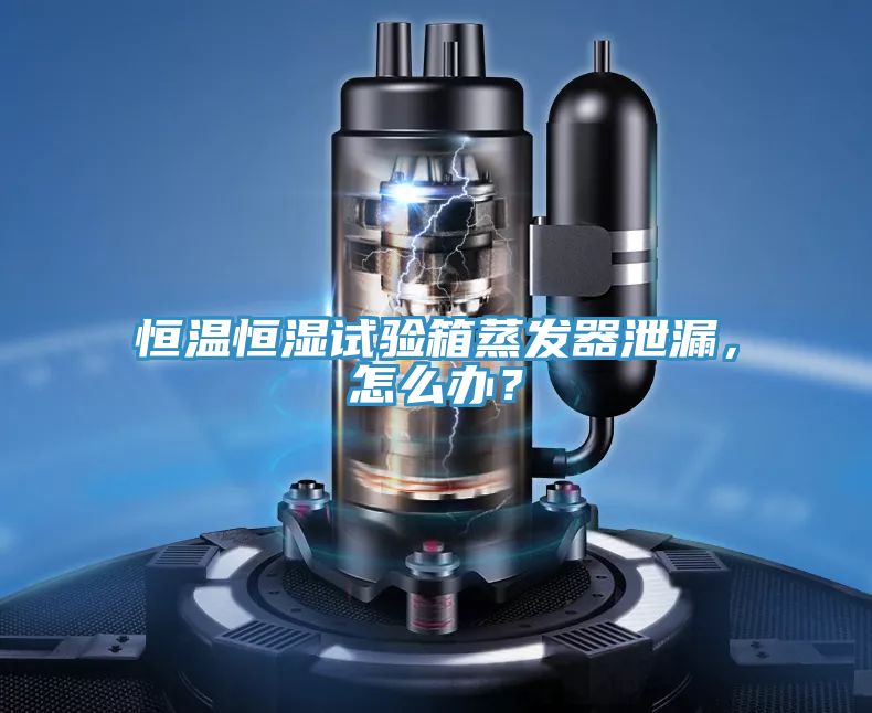 恒溫恒濕試驗(yàn)箱蒸發(fā)器泄漏，怎么辦？