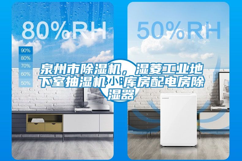 泉州市除濕機，濕菱工業(yè)地下室抽濕機  庫房配電房除濕器