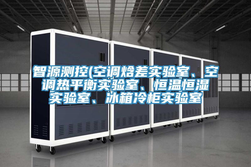 智源測控(空調(diào)焓差實驗室、空調(diào)熱平衡實驗室、恒溫恒濕實驗室、冰箱冷柜實驗室