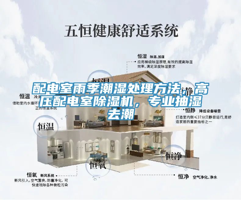 配電室雨季潮濕處理方法，高壓配電室除濕機(jī)，專業(yè)抽濕去潮