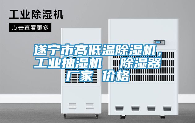 遂寧市高低溫除濕機，工業(yè)抽濕機  除濕器廠家 價格