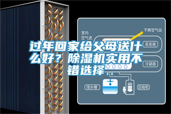 過年回家給父母送什么好？除濕機(jī)實用不錯選擇