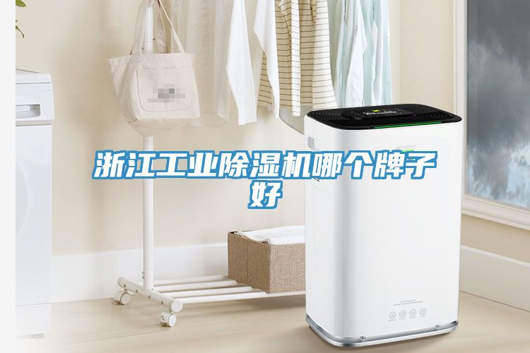 浙江工業(yè)除濕機(jī)哪個牌子好