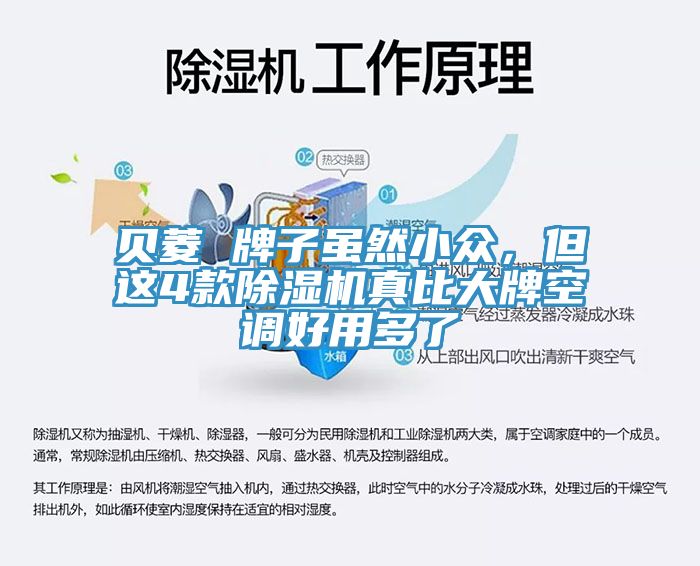 貝菱 牌子雖然小眾，但這4款除濕機(jī)真比大牌空調(diào)好用多了