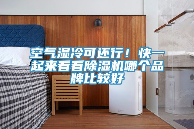 空氣濕冷可還行！快一起來(lái)看看除濕機(jī)哪個(gè)品牌比較好