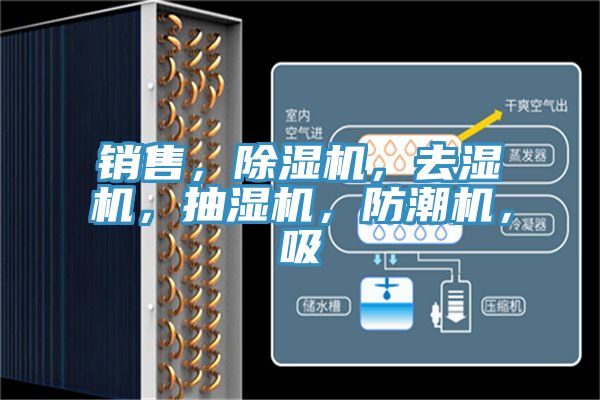 銷售，除濕機(jī)，去濕機(jī)，抽濕機(jī)，防潮機(jī)，吸