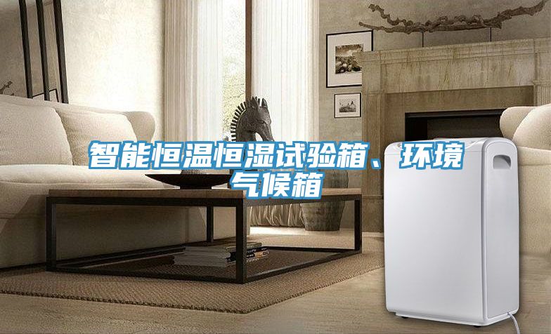 智能恒溫恒濕試驗(yàn)箱、環(huán)境氣候箱