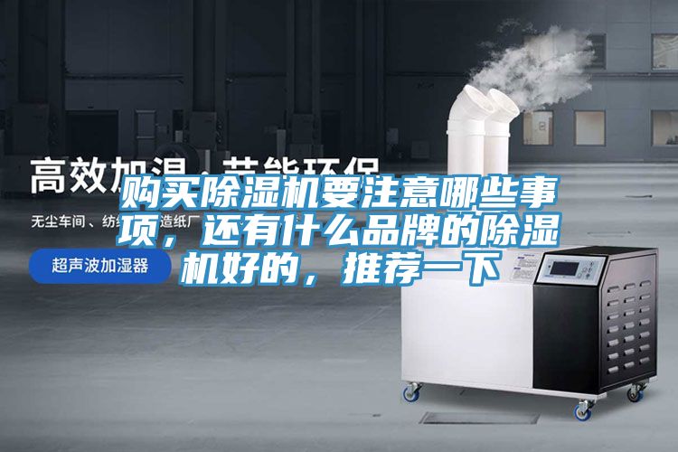 購(gòu)買除濕機(jī)要注意哪些事項(xiàng)，還有什么品牌的除濕機(jī)好的，推薦一下
