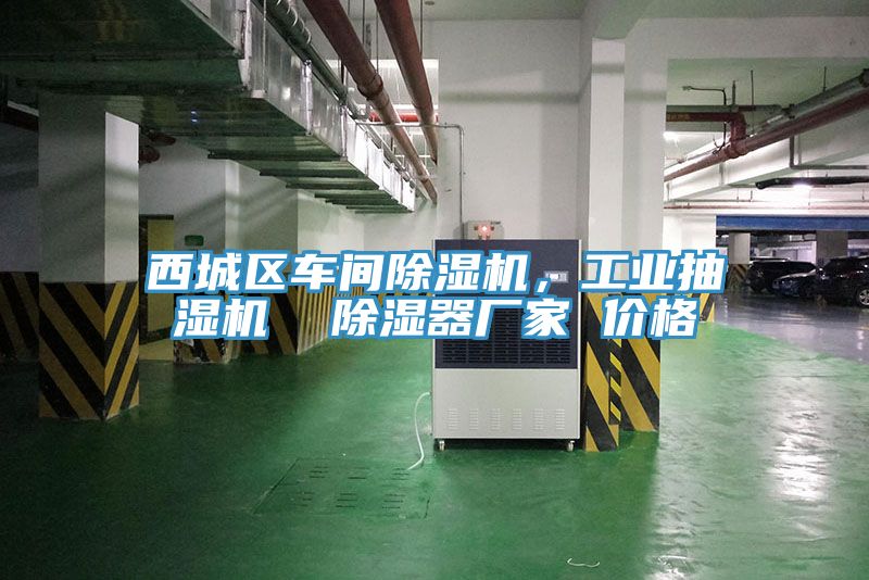 西城區(qū)車間除濕機，工業(yè)抽濕機  除濕器廠家 價格