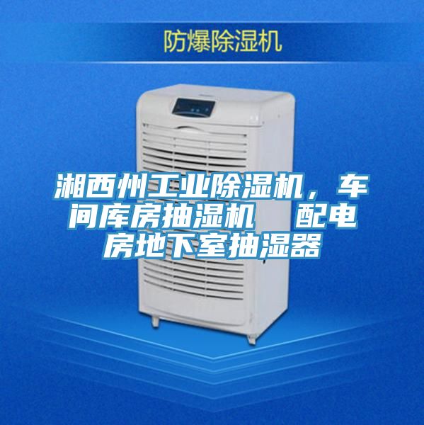 湘西州工業(yè)除濕機，車間庫房抽濕機  配電房地下室抽濕器