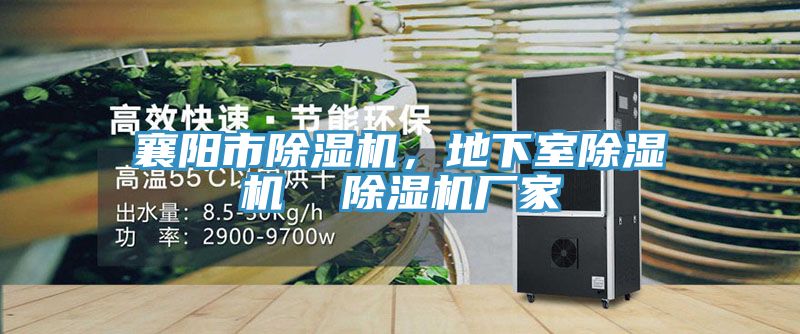 襄陽市除濕機(jī)，地下室除濕機(jī)  除濕機(jī)廠家