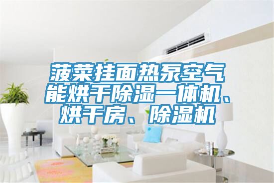 菠菜掛面熱泵空氣能烘干除濕一體機、烘干房、除濕機