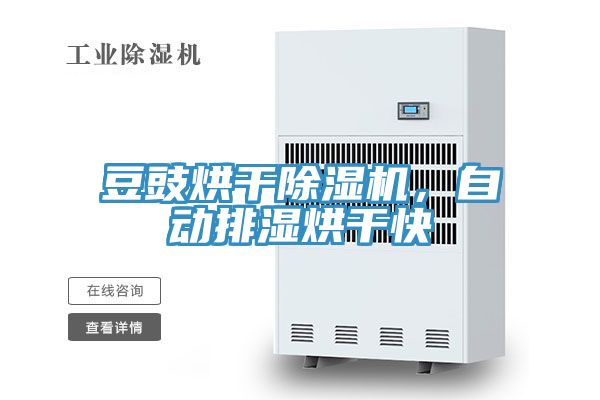豆豉烘干除濕機，自動排濕烘干快