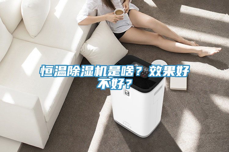 恒溫除濕機(jī)是啥？效果好不好？