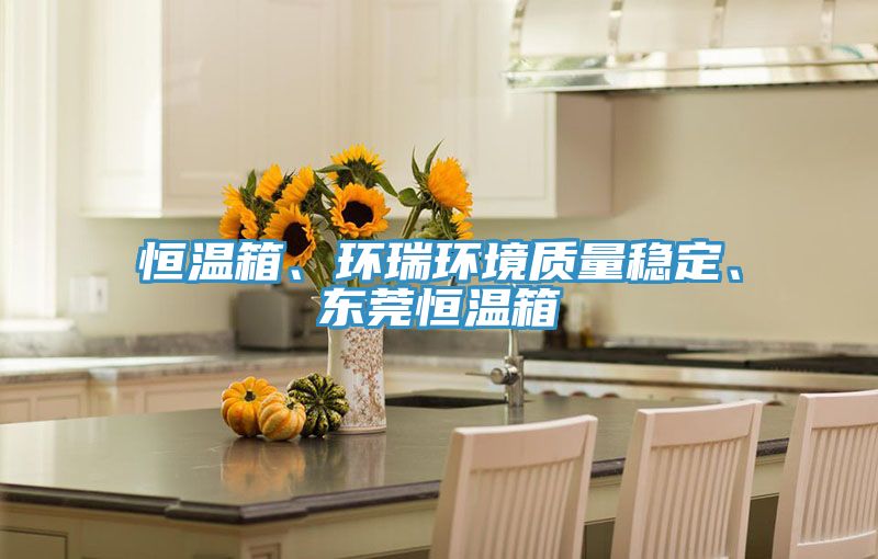 恒溫箱、環(huán)瑞環(huán)境質(zhì)量穩(wěn)定、東莞恒溫箱