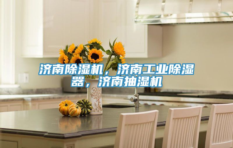 濟南除濕機，濟南工業(yè)除濕器，濟南抽濕機