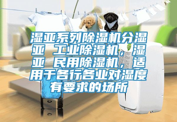 濕亞系列除濕機分濕亞 工業(yè)除濕機，濕亞 民用除濕機，適用于各行各業(yè)對濕度有要求的場所