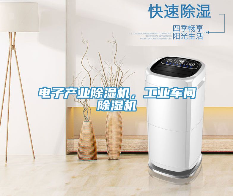 電子產(chǎn)業(yè)除濕機，工業(yè)車間除濕機