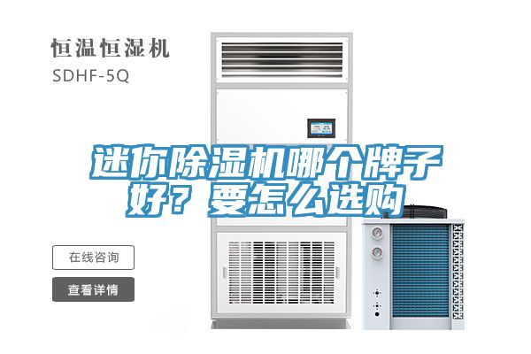迷你除濕機(jī)哪個(gè)牌子好？要怎么選購(gòu)